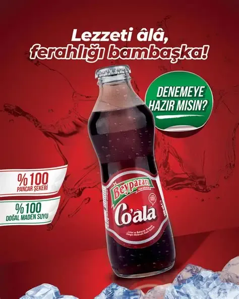 Beypazarı Co-ala 200 Ml Soda