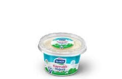 Yörüksüt 350 G Yoğurt