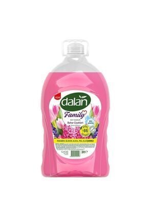 Dalan Family Sıvı Sabun Bahar Çiçekleri 3 Lt